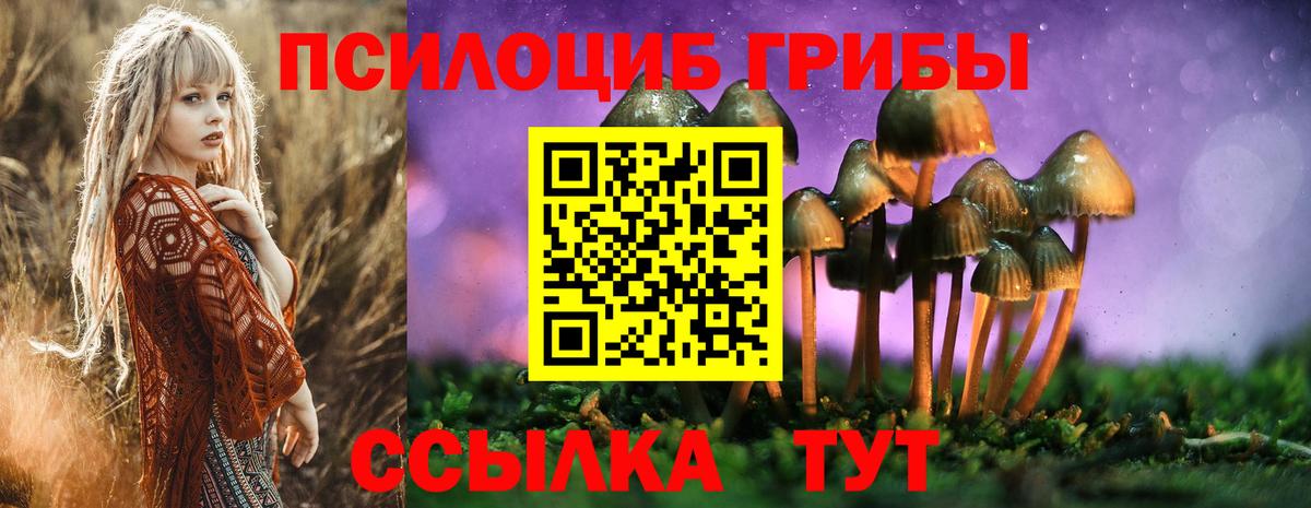 Галлюциногенные грибы Psilocybine cubensis  Псилоцибиновые грибы мухоморы  Верхний Уфалей  Вход с VPN 